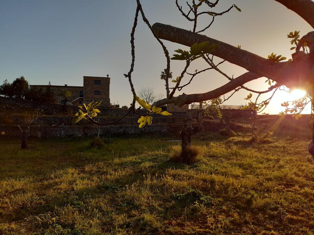 Farm stay Ses Illes Costitx (Mallorca)