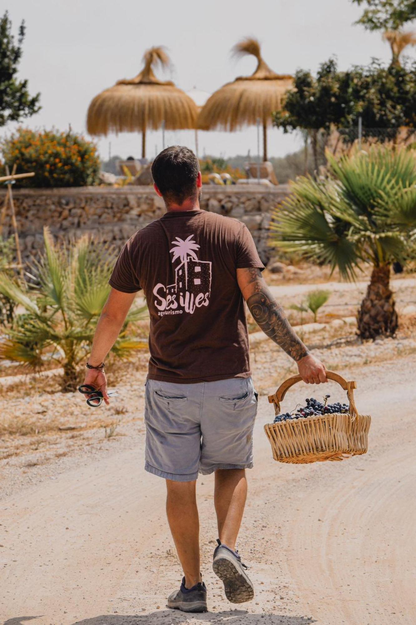 Farm stay Ses Illes Costitx (Mallorca)
